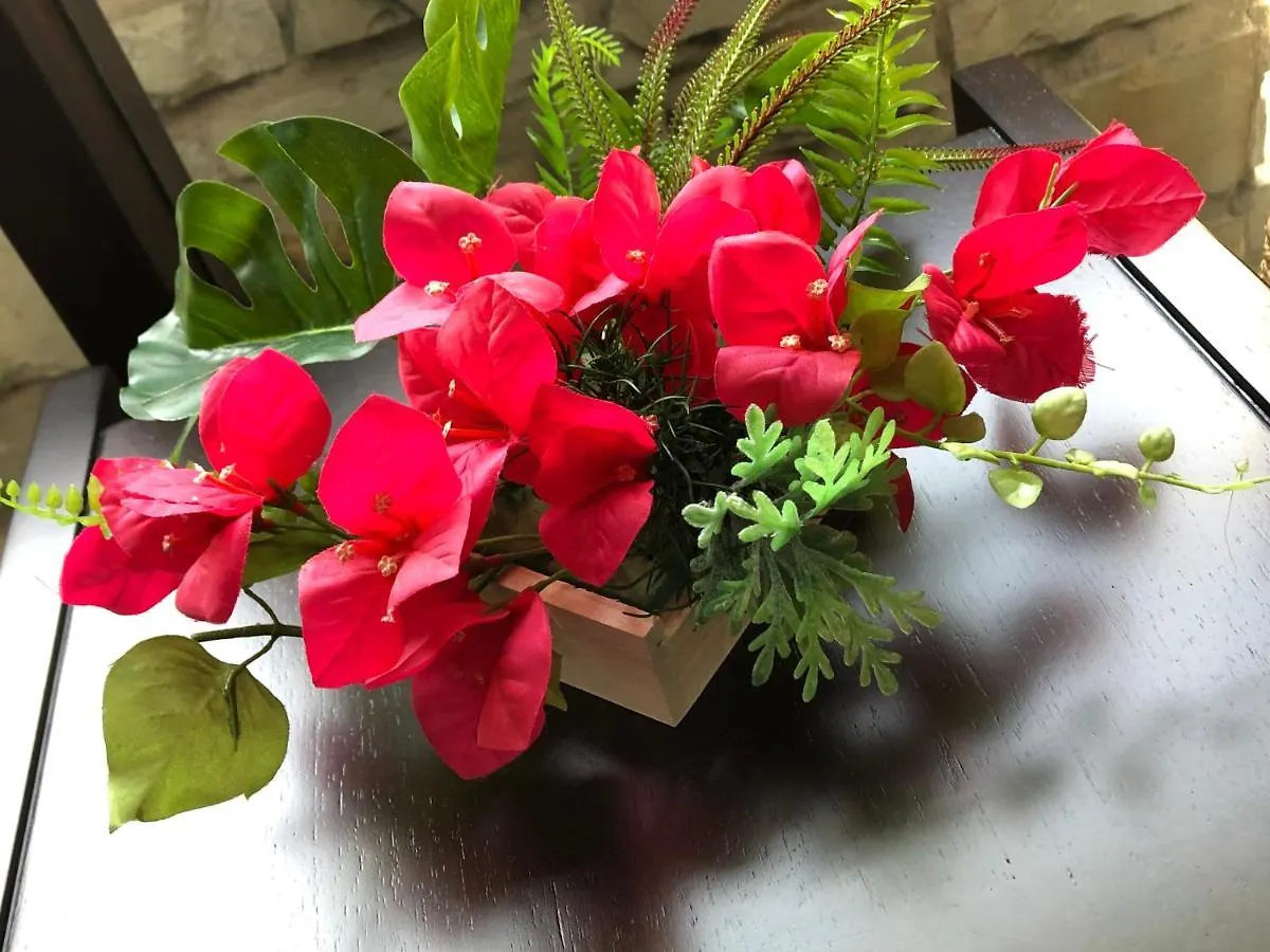 טוקיו Hotel Bougainvillea Akebonobashi 2*,
